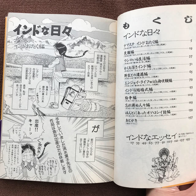 インドな日々 エンタメ/ホビーの漫画(その他)の商品写真