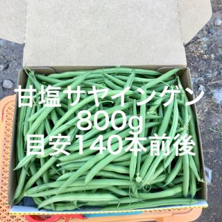 【鹿児島産】甘塩サヤ箱込み800g^_^(野菜)