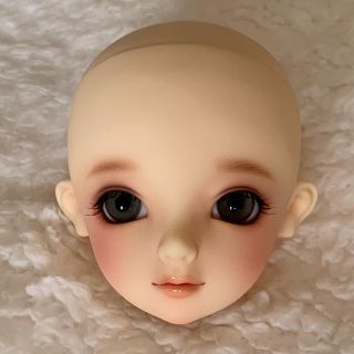 ボークス(VOLKS)のSDスタンダード　ニコ　フェイスのみ(その他)