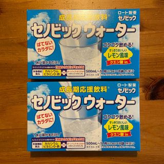 ロートセイヤク(ロート製薬)のセノビックウォーター　8袋×2箱　賞味期限2021.1(その他)