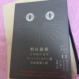 野良猫姫(文学/小説)