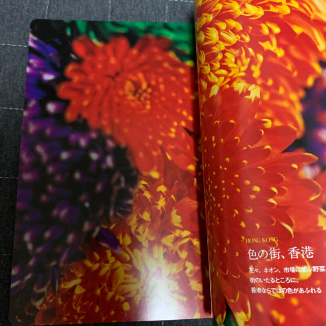 蜷川実花　恋する香港 エンタメ/ホビーの本(アート/エンタメ)の商品写真