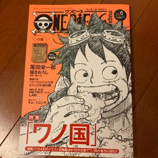 ＯＮＥ　ＰＩＥＣＥ　ｍａｇａｚｉｎｅ Ｖｏｌ．６(アート/エンタメ)