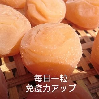 梅干し  白(十郎梅)  500g(漬物)