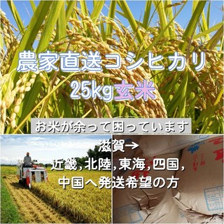 農家直送コシヒカリ 玄米25kg 21(米/穀物)