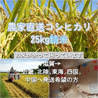 農家直送コシヒカリ 精米25kg 23(米/穀物)