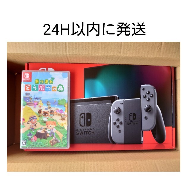 Nintendo Switch - ゆか Nintendo Switch 本体 グレーあつまれどうぶつの森