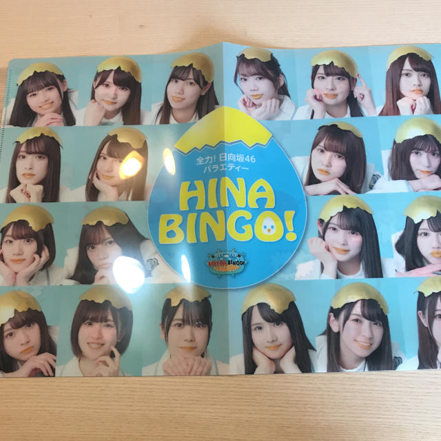 欅坂46(けやき坂46)(ケヤキザカフォーティーシックス)のHINABINGO ファイル エンタメ/ホビーのタレントグッズ(アイドルグッズ)の商品写真