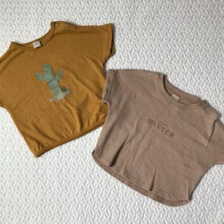 テータテート　半袖Tシャツ　2枚セット(Ｔシャツ)