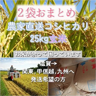 農家直送コシヒカリ 玄米25kg 2袋(米/穀物)