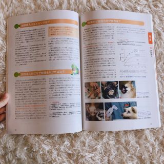 動物看護師のための麻酔超入門 はじめの一歩 改訂版の通販 by kirin ... 動物看護師のための麻酔超入門
