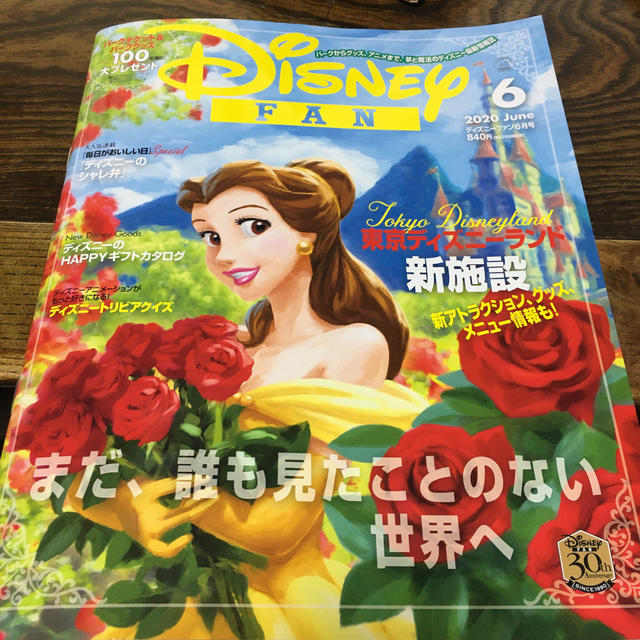 Disney(ディズニー)のDisney FAN (ディズニーファン) 2020年 06月号 エンタメ/ホビーの雑誌(絵本/児童書)の商品写真