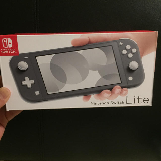 エンタメ/ホビーNintendo Switch Lite グレー ケースセット