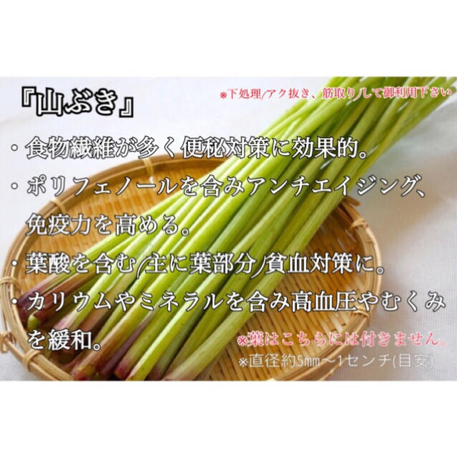 即日発送✧免疫力アップ食材✼旬野菜と山菜セット✼ 食品/飲料/酒の食品(野菜)の商品写真