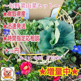 即日発送✧免疫力アップ食材✼旬野菜と山菜セット✼(野菜)