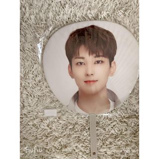 セブンティーン(SEVENTEEN)のSEVENTEEN ode to youウォヌうちわ(アイドルグッズ)