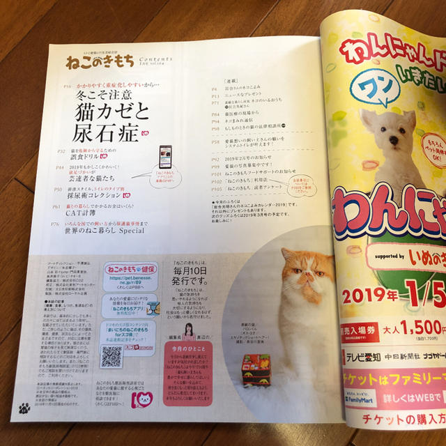 雑誌　ねこのきもち　2019 １月号 エンタメ/ホビーの雑誌(その他)の商品写真