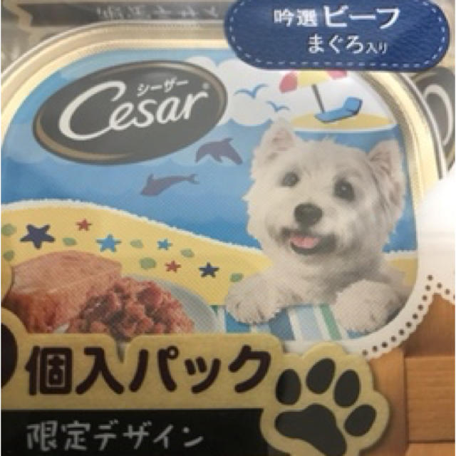 CASAR(シーザー)のシーザー36個 その他のペット用品(ペットフード)の商品写真