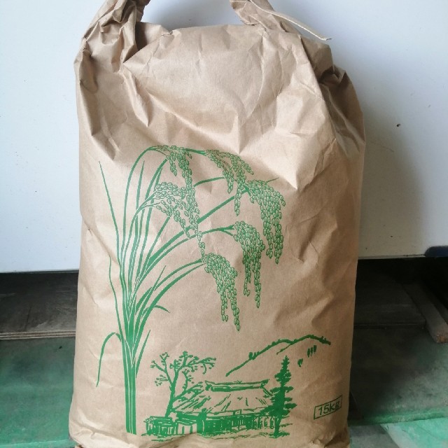 もち米玄米15Kg 山口県産  産地直送  もち米  餅米  農家