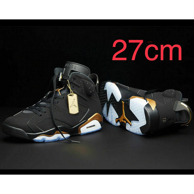 27cm NIKE AIR JORDAN 6 RETRO DMP ジョーダン6