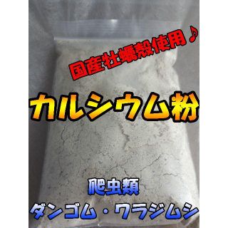 【カルシウム粉】爬虫類・ダンゴムムシ・ワラジムシの飼育に 牡蠣殻使用でカルシウム(爬虫類/両生類用品)