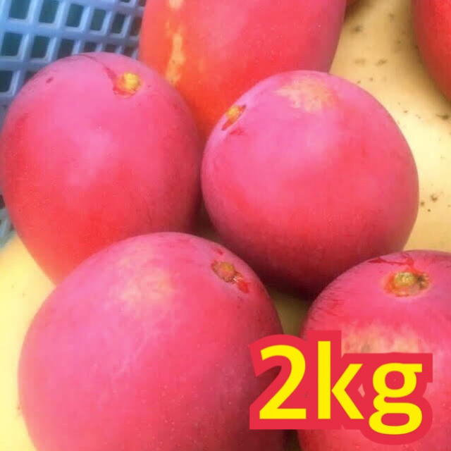 宮崎県産 完熟マンゴー 2~2.3kg 食品/飲料/酒の食品(フルーツ)の商品写真