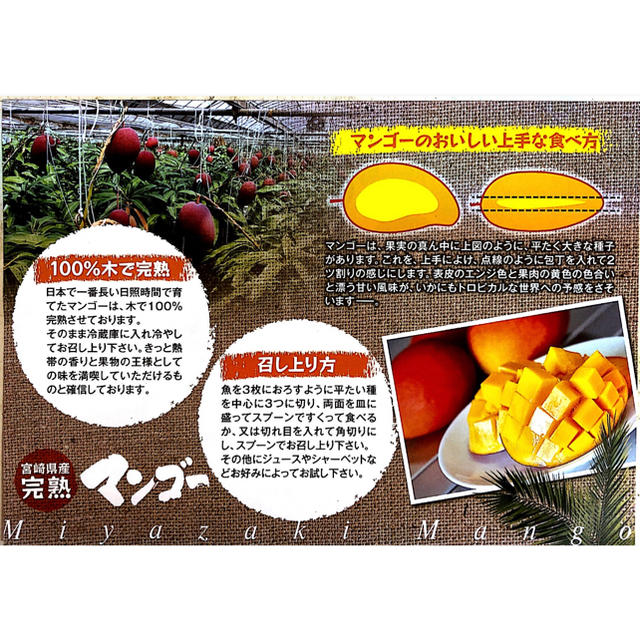 宮崎県産 完熟マンゴー 2~2.3kg 食品/飲料/酒の食品(フルーツ)の商品写真