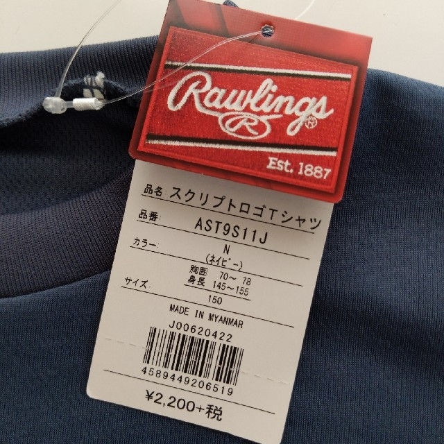 Rawlings(ローリングス)のローリングス　スクリプトロゴTシャツ スポーツ/アウトドアの野球(その他)の商品写真