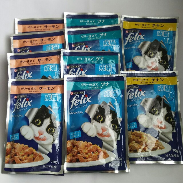 Nestle(ネスレ)のフィリックス  キャットフード  ウェット  10袋 その他のペット用品(ペットフード)の商品写真