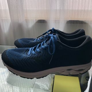 ミズノ(MIZUNO)のMIZUNO    wave rider 22 knit  26cm(シューズ)