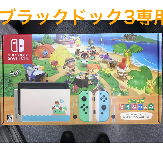 Nintendo Switch あつまれ どうぶつの森セット