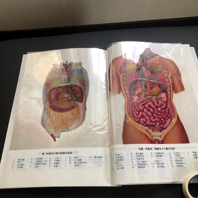 透視人体解剖図 第２２版の通販 By ひろちぃ S Shop ラクマ