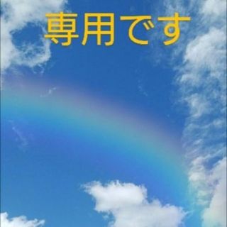 アコたん様専用  ビニタイ 100本(各種パーツ)