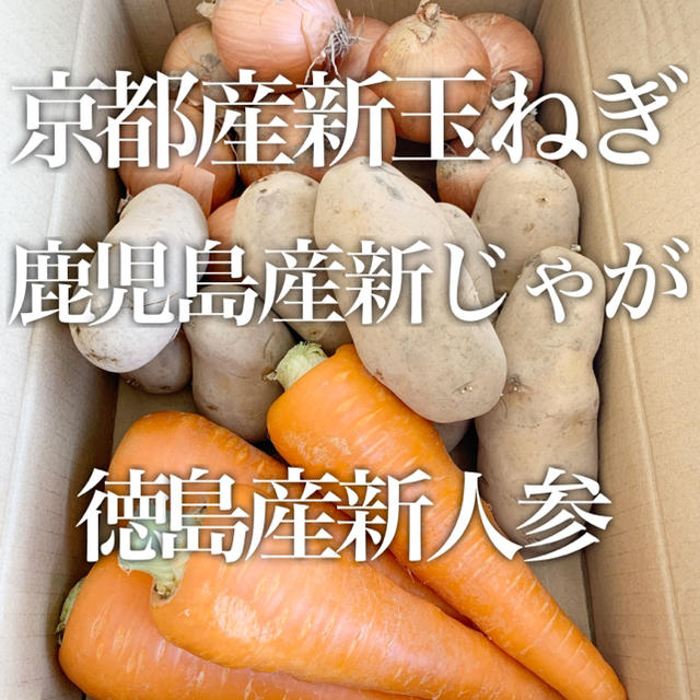 京都自家農園の新玉ねぎ 新じゃが 新人参の詰め合わせ 食品/飲料/酒の食品(野菜)の商品写真