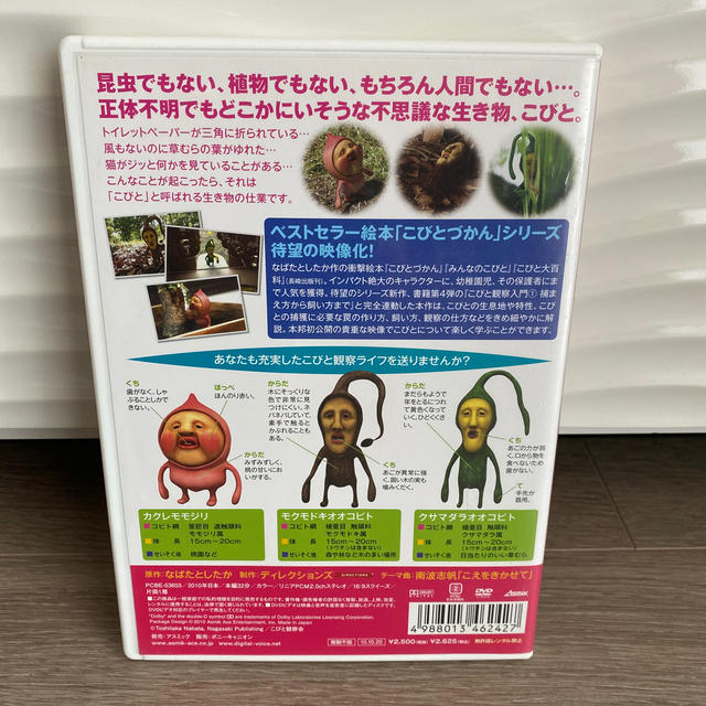 こびと観察入門 モモジリ クサマダラ モクモドキ編 Dvdの通販 By Roulette696 S Shop ラクマ こびと観察入門 モモジリ クサマダラ モクモドキ編 Dvdの通販 By Roulette696 S Shop ラクマ