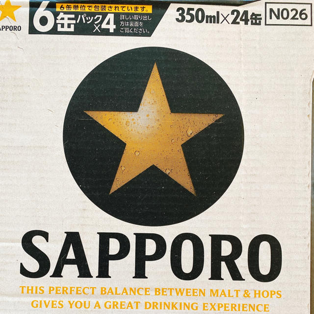 サッポロビール 350ml 24缶 2ケース