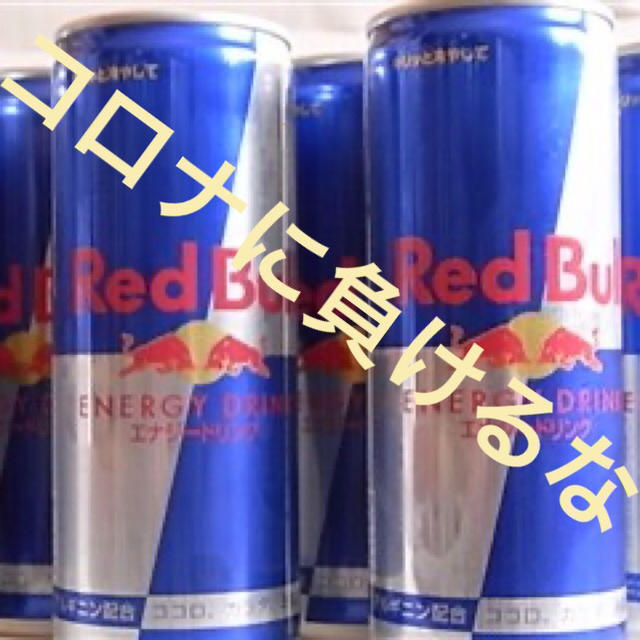 レッドブル185ml48本送料無料