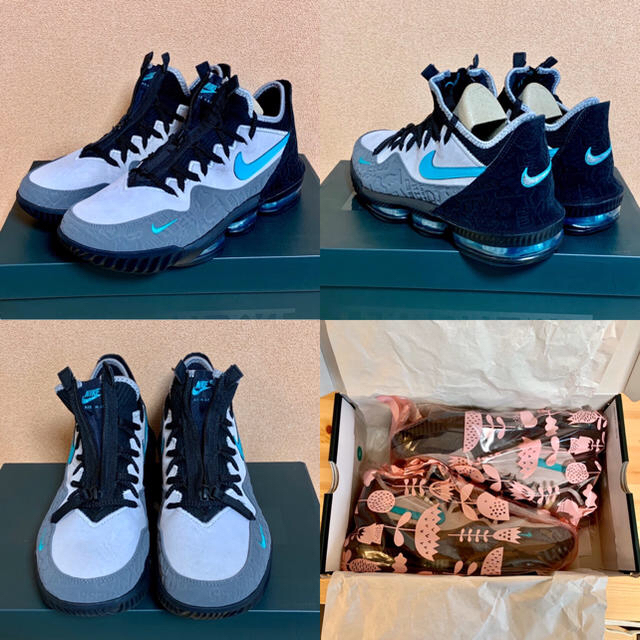 Nike Lebron 16 elephant atmos