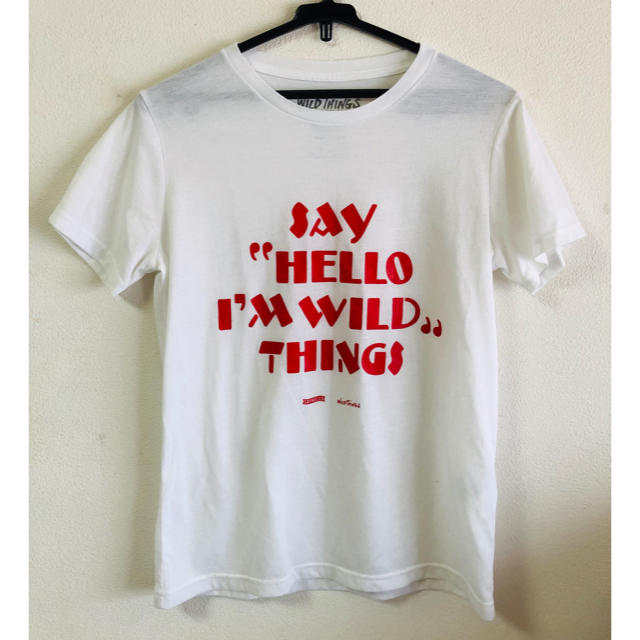 WILDTHINGS(ワイルドシングス)のTシャツ　ワイルドシングス メンズのトップス(Tシャツ/カットソー(半袖/袖なし))の商品写真