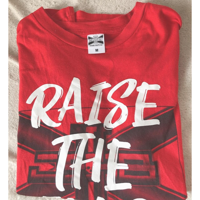 三代目 J Soul Brothers(サンダイメジェイソウルブラザーズ)のraise the flag Tシャツ レディースのトップス(Tシャツ(半袖/袖なし))の商品写真