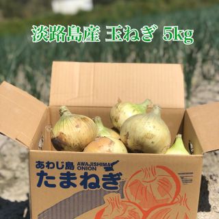 淡路島産 淡路島 玉ねぎ 新玉ねぎ 詰め合わせ 【5kg】(野菜)