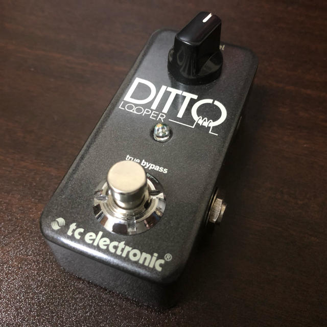 tc electronic / DITTO LOOPER ルーパー