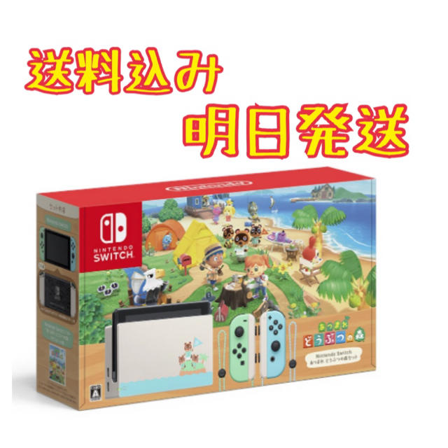 Nintendo Switch あつまれ どうぶつの森　同梱版