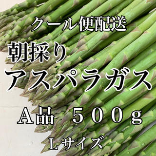 栃木県産アスパラガス(野菜)
