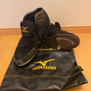 ミズノ(MIZUNO)のミズノプロ　オーダースパイク　2014年モデル　28cm(シューズ)