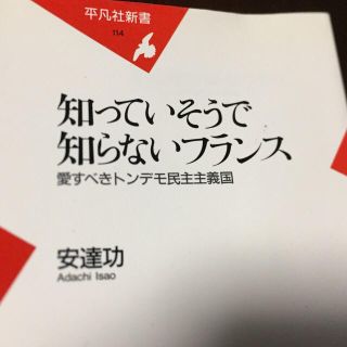 知っていそうで知らないフランス 愛すべきトンデモ民主主義国(人文/社会)