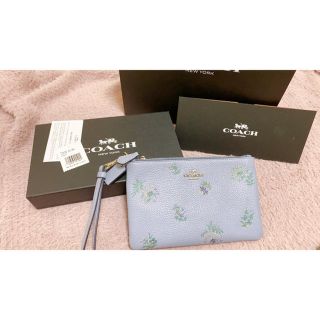 コーチ(COACH)のcoach フラワー　水色　ポーチ　(ポーチ)