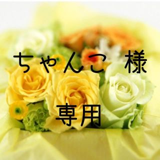 ちゃんこ様専用  お米 令和元年 愛媛県産ヒノヒカリ 白米 20 kg(米/穀物)