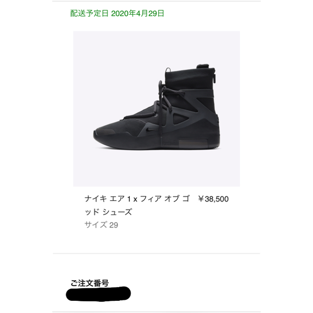 送料込 国内正規品 29cm  NIKE AIR FEAR OF GOD 1