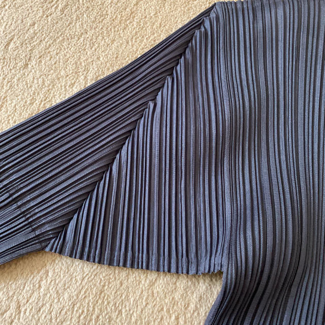 PLEATS PLEASE ISSEY MIYAKE(プリーツプリーズイッセイミヤケ)のプリーツプリーズ　トップス レディースのトップス(カットソー(長袖/七分))の商品写真